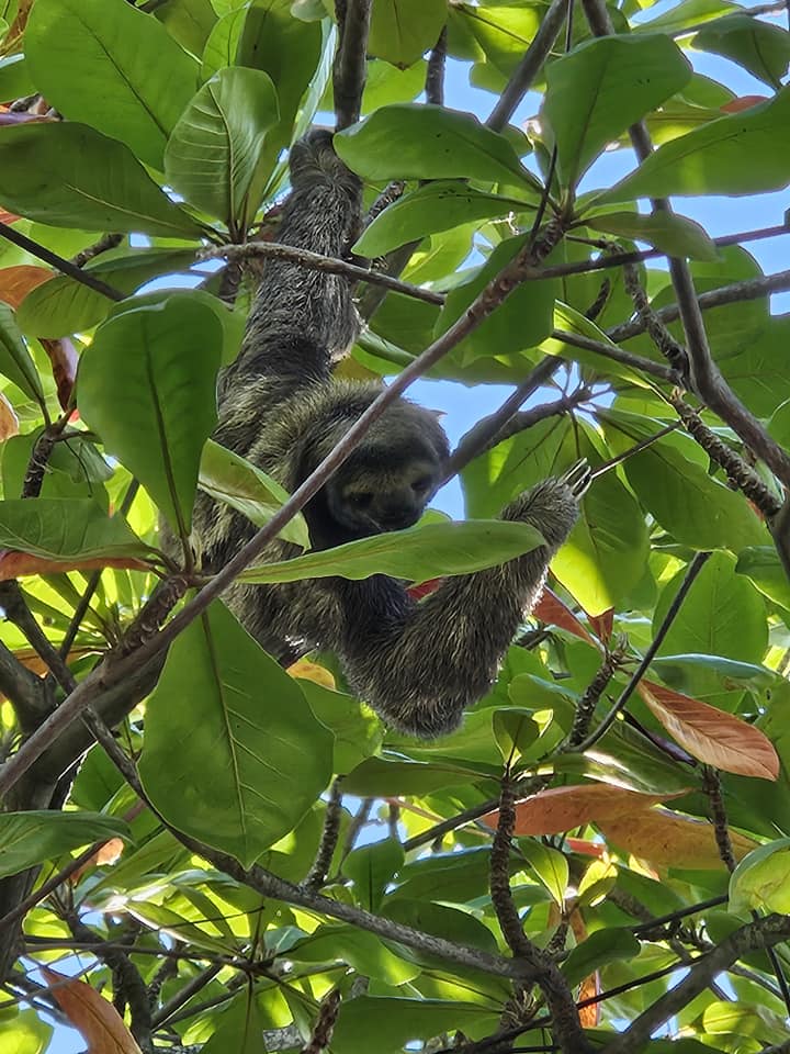 500876283 1279734947495239 7461935114902034874 n