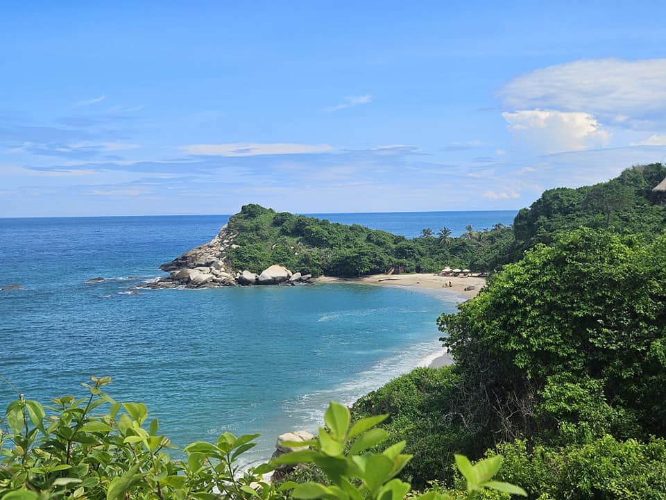 500951059 1279734897495244 8079907717856629937 n