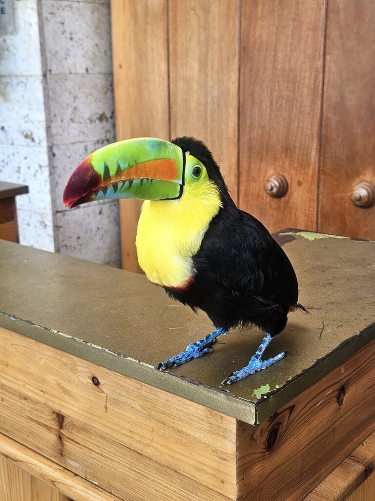 501007938 1279734890828578 8497186658932296257 n