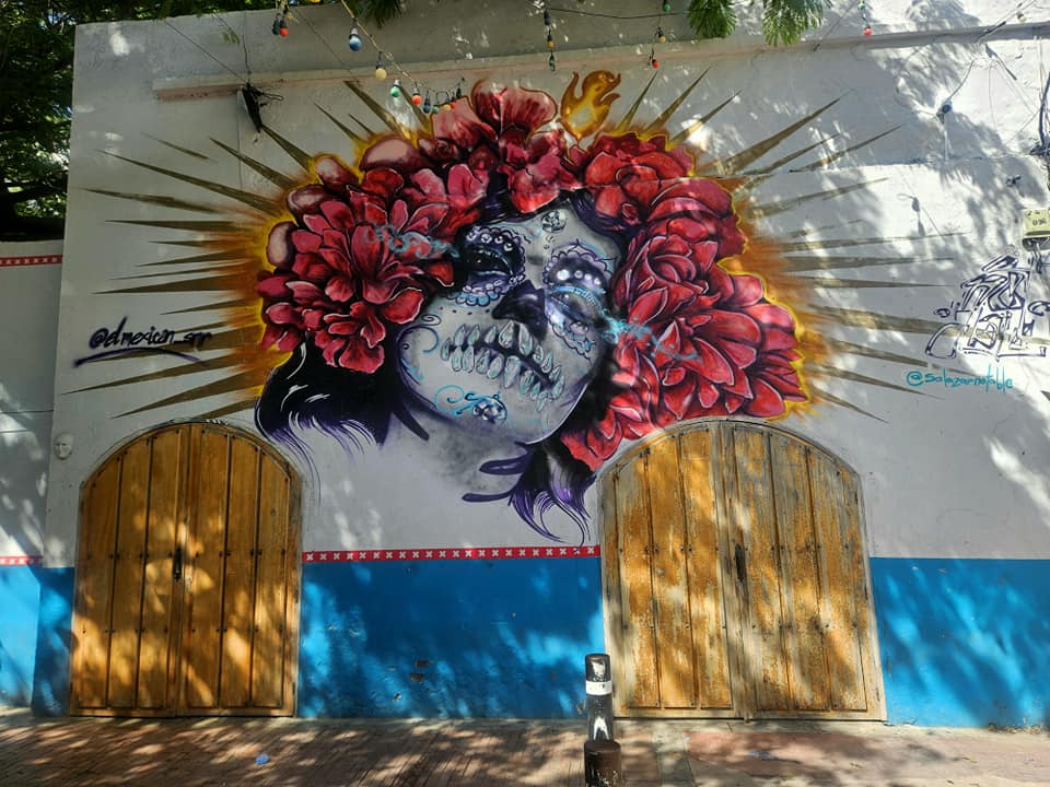 501030795 1279734937495240 2534927819574628050 n