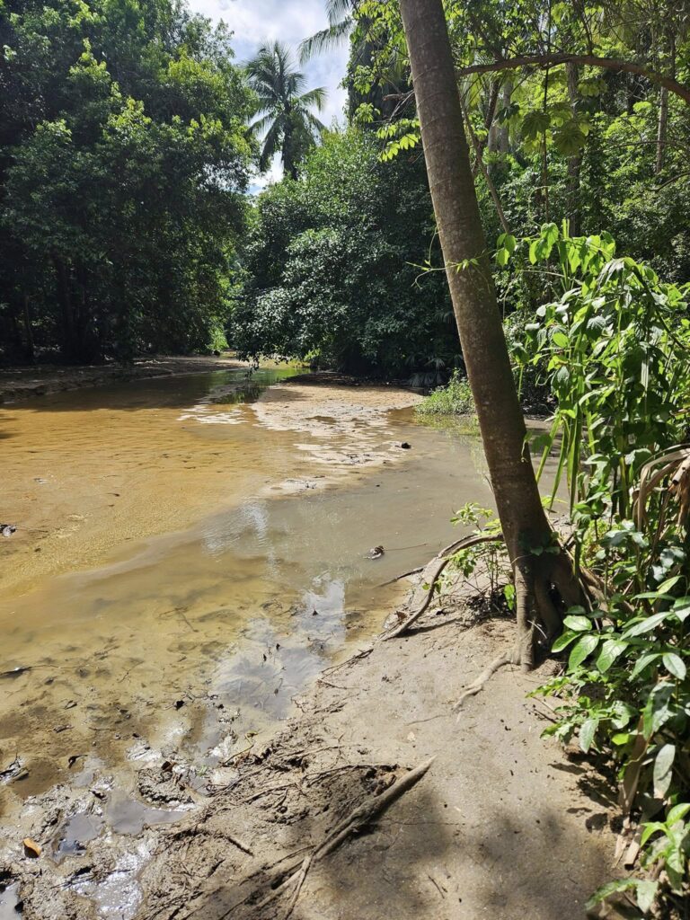 501078053 1279734944161906 4828382445897064357 n