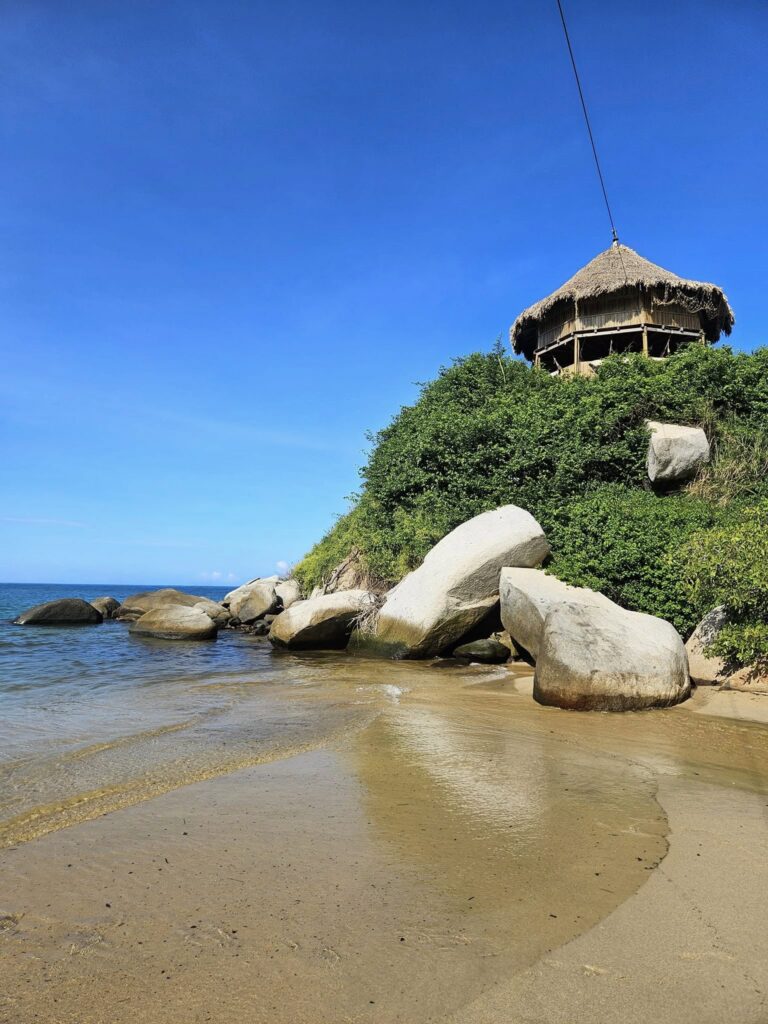 501272385 1279734867495247 2149349116513104785 n