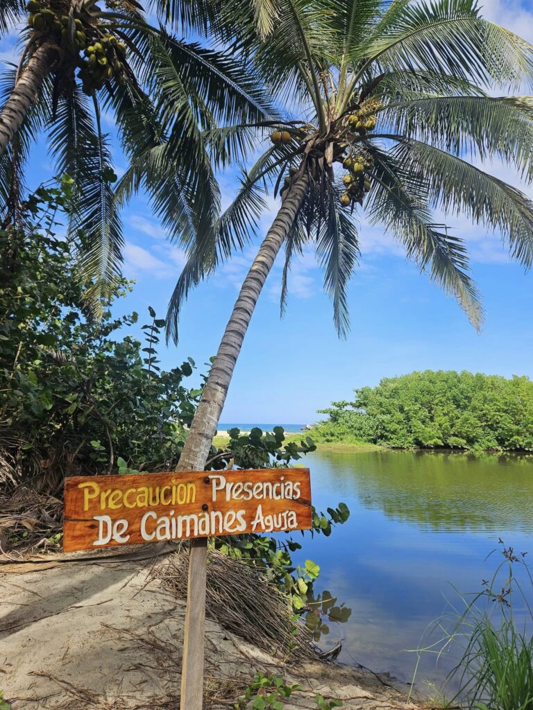 501483976 1279734860828581 6174609651272185169 n