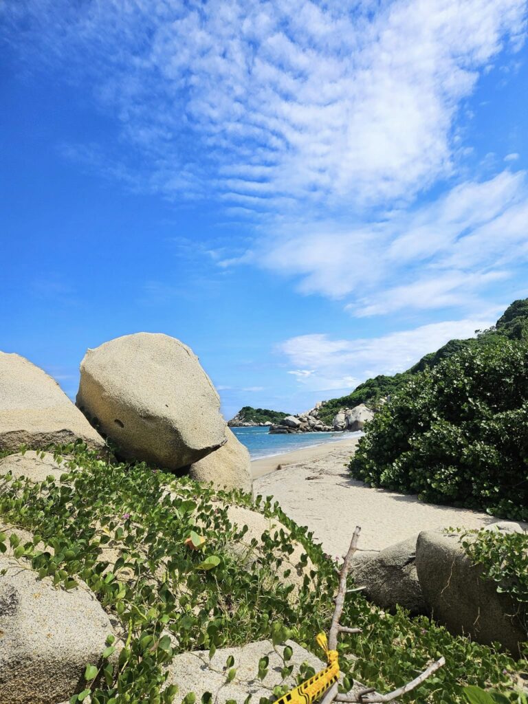 501608963 1279734760828591 7048669838272058550 n