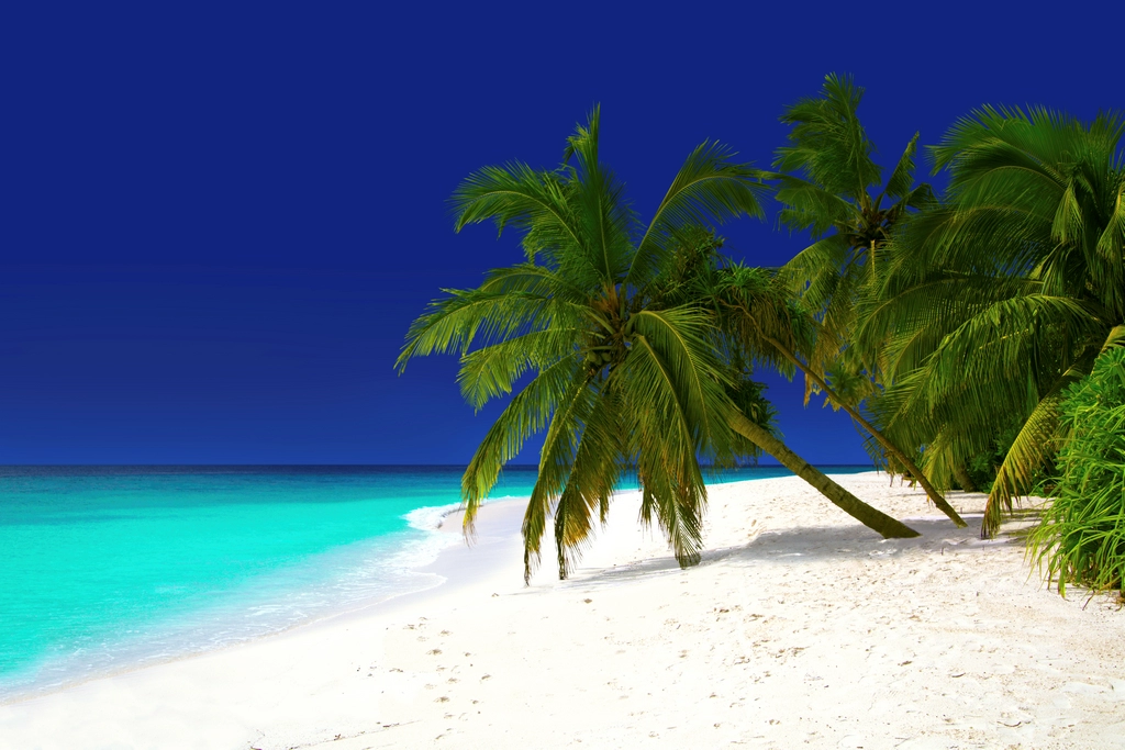 plaza plamy webp res